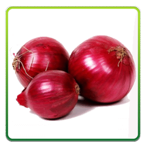 بصل وزن